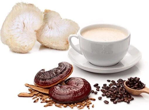 ToshiFarm Lion's Mane En Reishi Koffie - 250 Gram - Biologisch & Fair Trade - Verbetering In Concentratievermogen En Leervermogen - Filterkoffie Met Paddenstoel -Koffiebenodigdheden Winkel